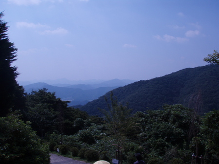 P8180075.JPG
